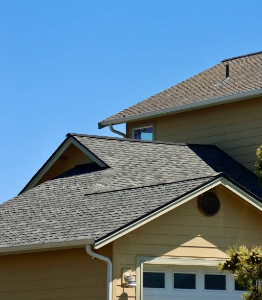 Best Skylight Installation and Repair  in Richardson, TX